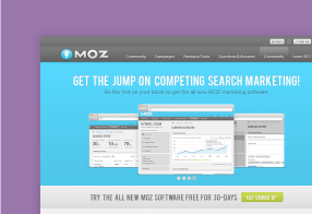 MOZ Search Marketing